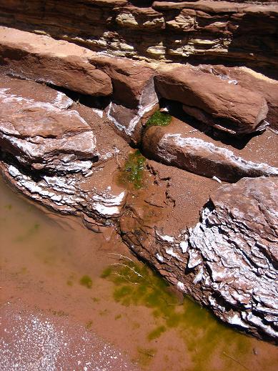 Water seep in Happy Canyon